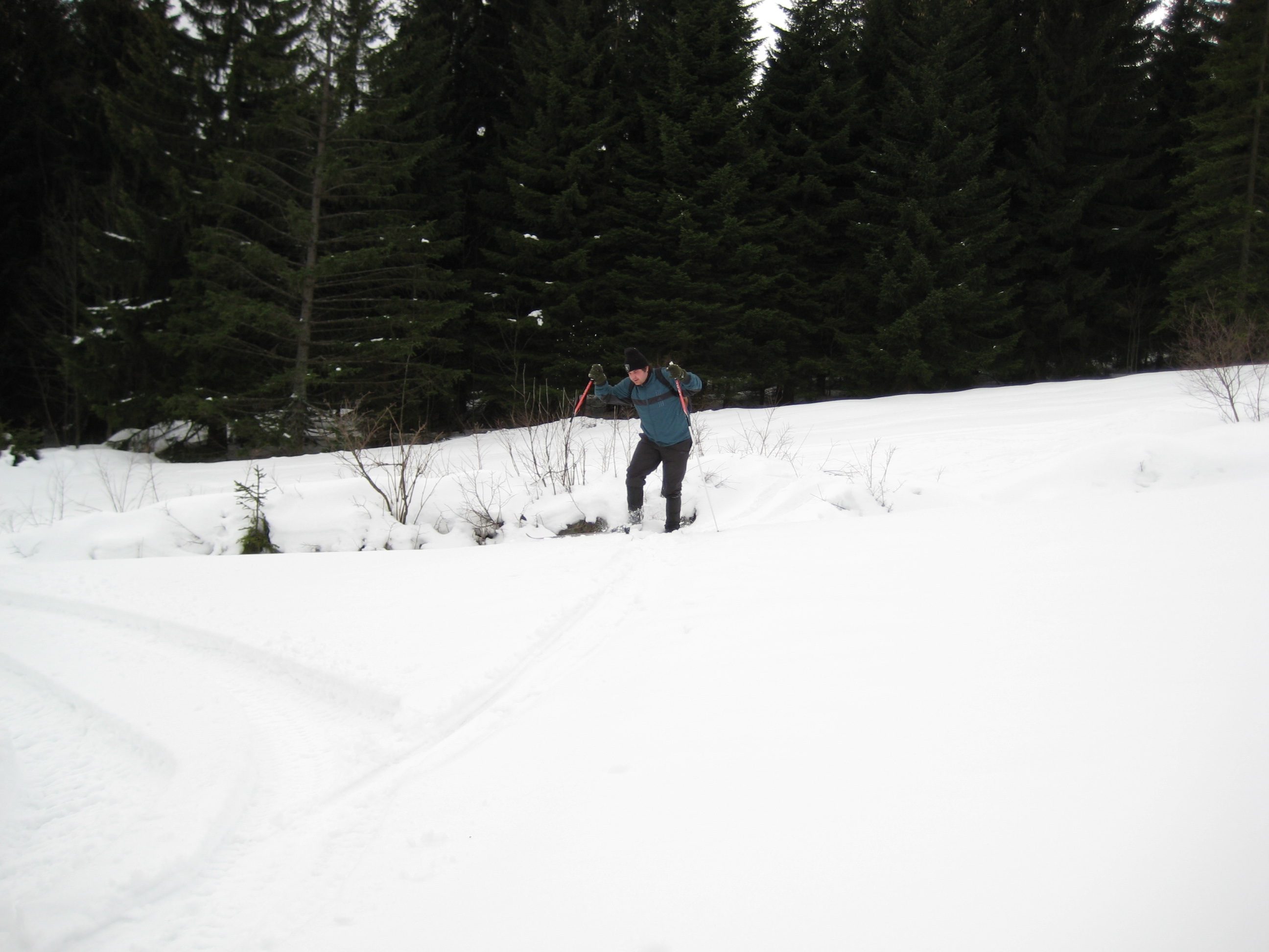 IMG_0008.jpg